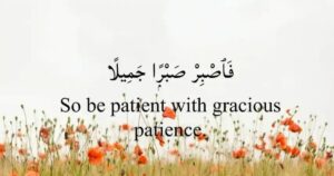 Patience in Islam: Meaning, Types, Verses, Hadith & Quotes About Sabr